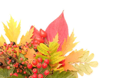 colors of autumnの写真素材