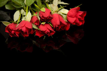 beautiful red roses on black reflecting backgroundの写真素材