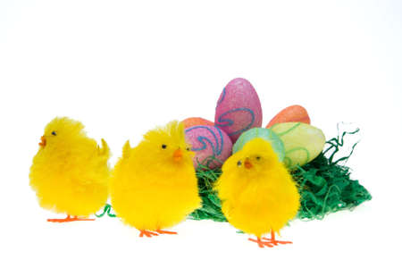 Easter chicken and eggs isolated on white