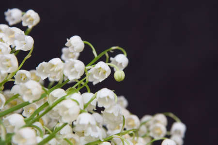 beautiful, fresh lilies of the valley on black, reflective background