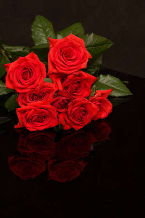 beautiful red roses on black, reflecting backgroundの写真素材