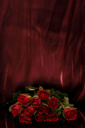 bunch of red roses on dark red backgroundの写真素材