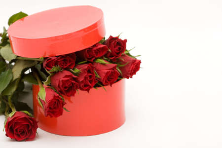 red roses in gift box, on white background