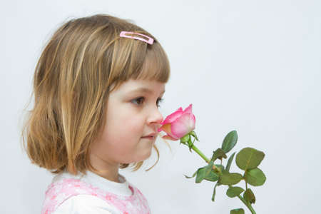 little, pretty girl smelling beautiful pink roseの写真素材