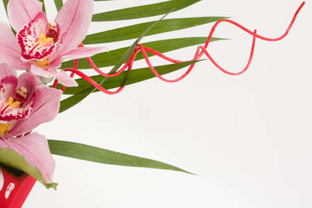 composition of beautiful, pink tiger lilies on bright backgroundの写真素材