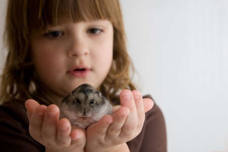 cute, beautiful girl with her little hamsterの写真素材