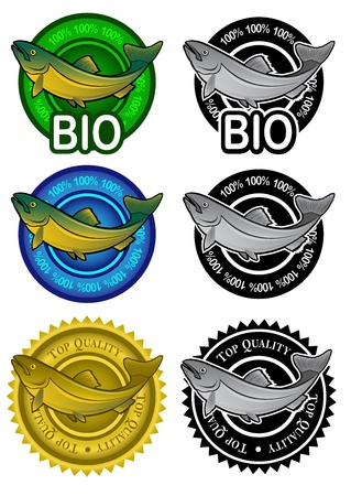 Fish Products Seals のイラスト素材