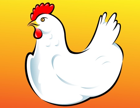 White Hen Vector Illustration のイラスト素材