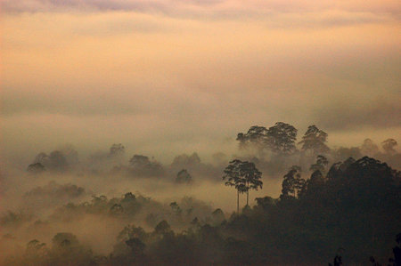 Beautiful misty morning sunrise view from Batutumonga, Toraja, Indonesiaの写真素材