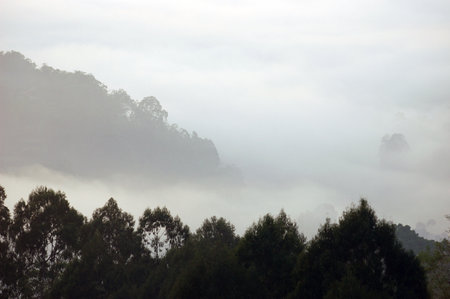 Beautiful misty morning view from Batutumonga, Toraja, Indonesiaの写真素材