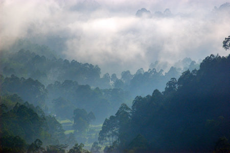 Beautiful misty morning view from Batutumonga, Toraja, Indonesiaの写真素材
