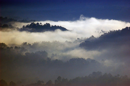Beautiful misty morning view from Batutumonga, Toraja, Indonesiaの写真素材