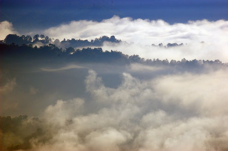 Beautiful misty morning view from Batutumonga, Toraja, Indonesiaの写真素材