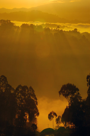 Beautiful misty morning view from Batutumonga, Toraja, Indonesiaの写真素材