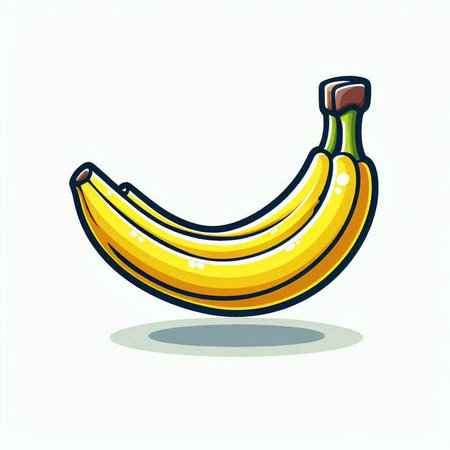 Banana fruit vector illustration. Isolated banana fruit on white background.のイラスト素材