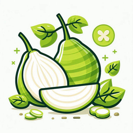 Vector illustration of fresh green pears with leaves on white background.のイラスト素材