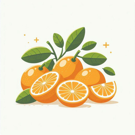 Citrus fruit vector illustration. Orange with leaves isolated on white background.のイラスト素材