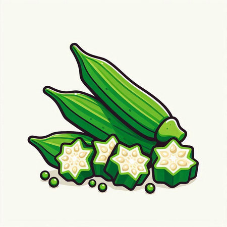 Illustration of fresh okra on a white background. Vector illustration.のイラスト素材