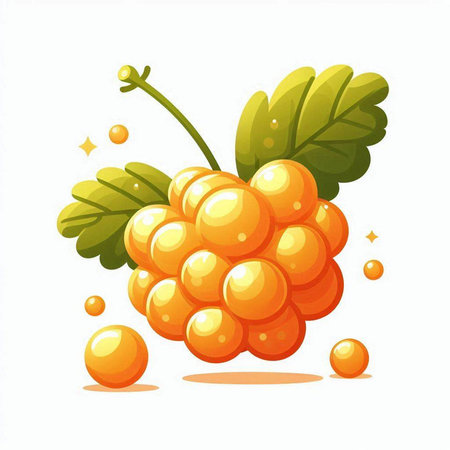 Raspberry fruit with green leaves and orange bubbles. Vector illustration.のイラスト素材