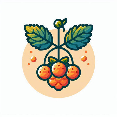 Vector illustration of a bunch of rowan with leaves and berries.のイラスト素材