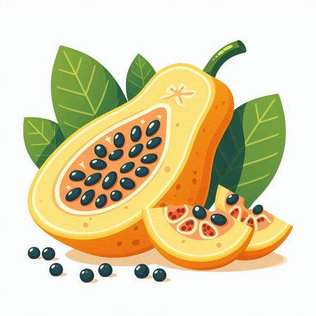 Papaya fruit isolated on white background. Vector illustration in cartoon styleのイラスト素材