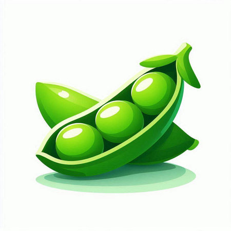 Green peas on a white background. Vector illustration. Eps 10.のイラスト素材