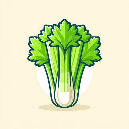 Celery icon isolated on white background. Vector illustration of celery.のイラスト素材