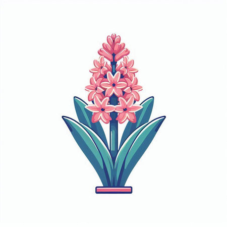 Pink hyacinth in a vase. Vector illustration isolated on white background.のイラスト素材