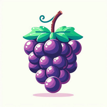 Grapes vector illustration isolated on white background. Vector illustration.のイラスト素材