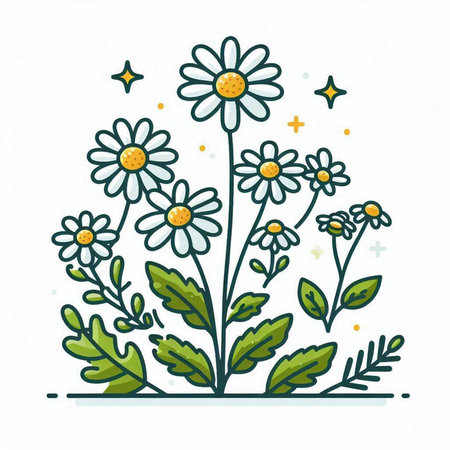 Chamomile flowers with leaves and stars. Vector illustration.のイラスト素材