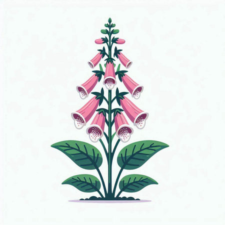 Digitalis purpurea, foxglove, foxglove, foxglove, foxglove, foxglove, foxgloveのイラスト素材
