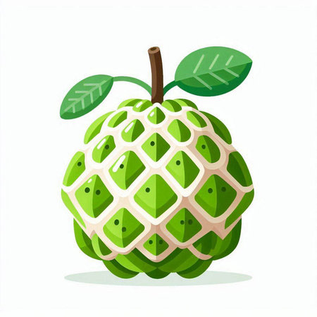 Custard apple isolated on a white background. Vector illustration.のイラスト素材