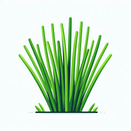Grass isolated on white background. Vector illustration. Eps 10.のイラスト素材
