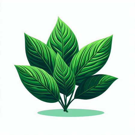 Green leaves on a white background, vector illustration, eps 10のイラスト素材