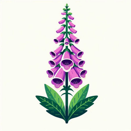 Digitalis purpurea flower isolated on white background. Vector illustration.のイラスト素材