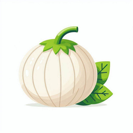 Pumpkin with leaves isolated on white background. Vector illustration.のイラスト素材