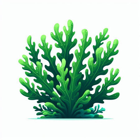 Green seaweed isolated on white background. Underwater plant. Vector illustration.のイラスト素材