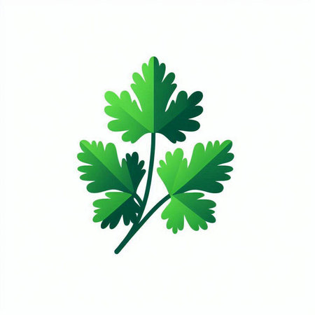 Parsley vector icon isolated on white background. Vector illustration.のイラスト素材