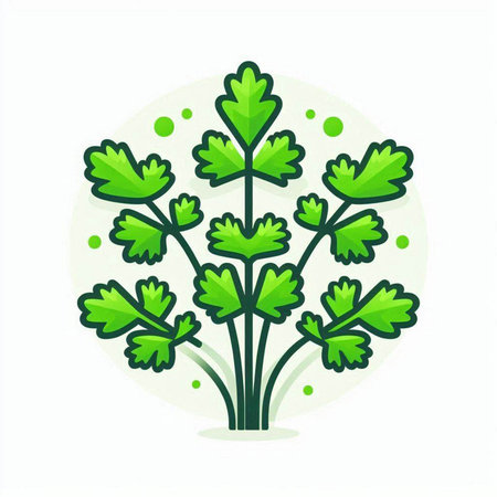 Parsley icon. Vector illustration. Isolated on white background.のイラスト素材