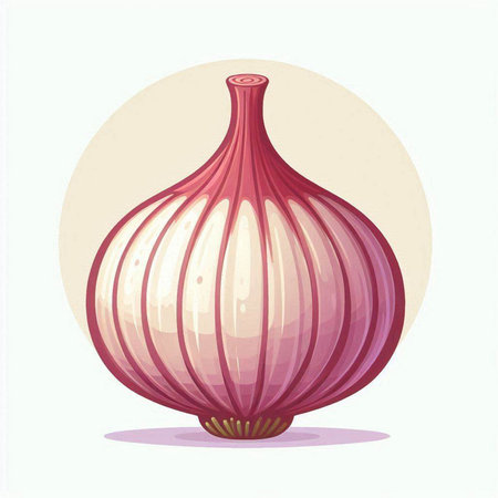 Illustration of a whole onion on a white background, vector illustrationのイラスト素材