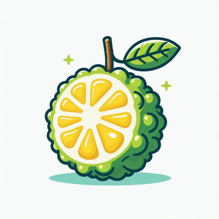 Kaffir lime fruit vector illustration isolated on white background. Cute kaffir lime fruit icon.のイラスト素材