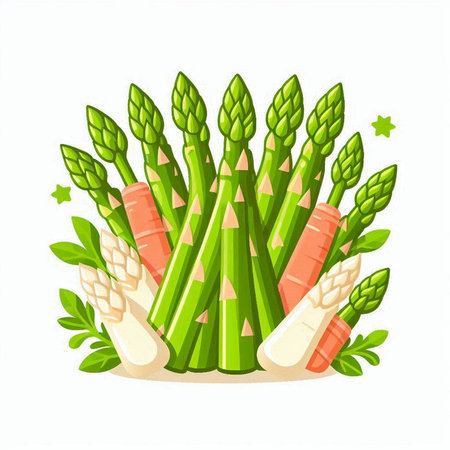 Vector illustration of green fresh asparagus with carrot and parsley.のイラスト素材