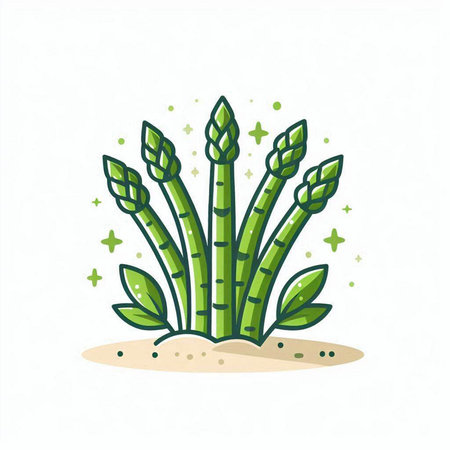 Asparagus icon. Vector illustration of a green asparagus.のイラスト素材