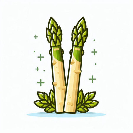 Asparagus icon isolated on white background. Vegetable vector illustration.のイラスト素材