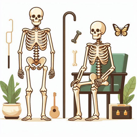 Skeleton in a chair with a cane. Vector illustration of skeleton.のイラスト素材