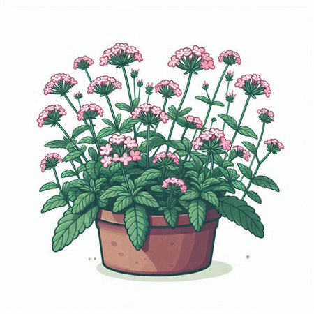 Illustration of a pink hydrangea in a flowerpotのイラスト素材