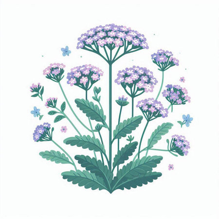 Verbena flowers isolated on white background. Hand drawn vector illustration.のイラスト素材