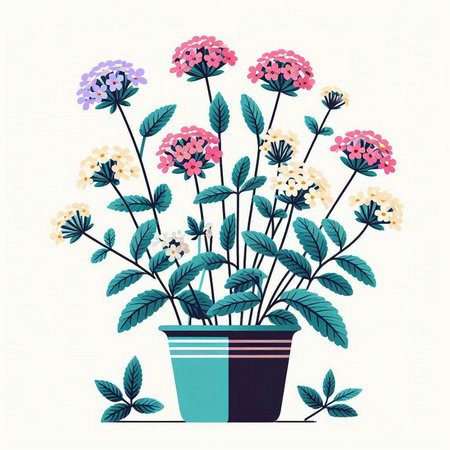 Flowerpot with hydrangea flowers. Hand drawn vector illustration.のイラスト素材