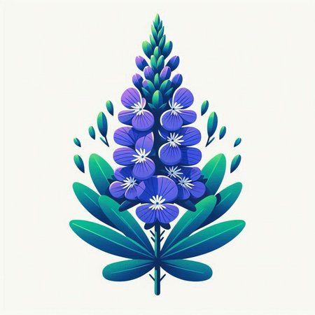 Blue lupine flower on a white background. Vector illustration.のイラスト素材