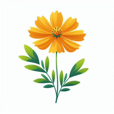 beautiful cosmos flower with leafs isolated icon vector illustration desingのイラスト素材